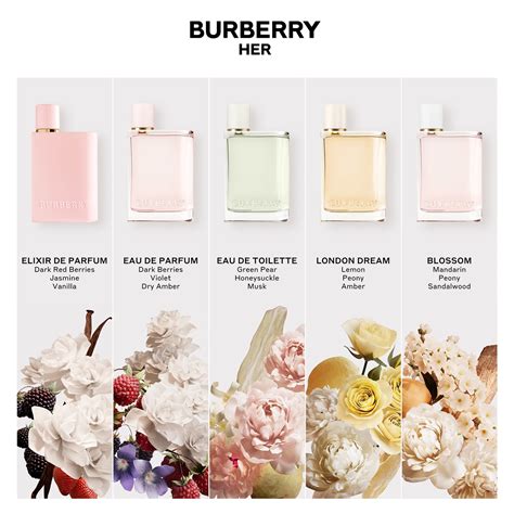 burberry her elixir de